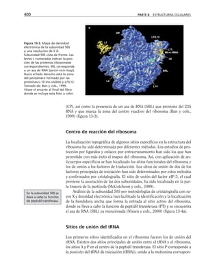 biologia-celular-y-molecular.pdf