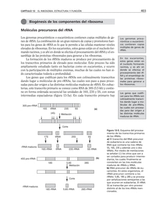biologia-celular-y-molecular.pdf