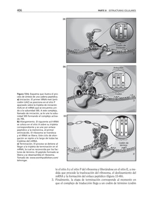 biologia-celular-y-molecular.pdf