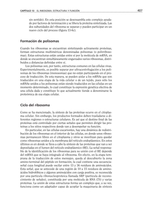 biologia-celular-y-molecular.pdf