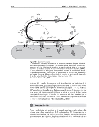 biologia-celular-y-molecular.pdf