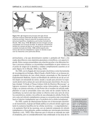 biologia-celular-y-molecular.pdf