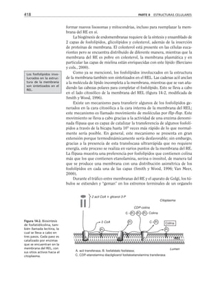biologia-celular-y-molecular.pdf