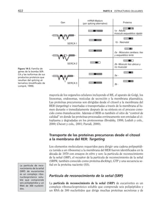 biologia-celular-y-molecular.pdf