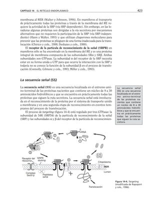 biologia-celular-y-molecular.pdf