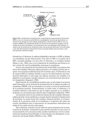 biologia-celular-y-molecular.pdf