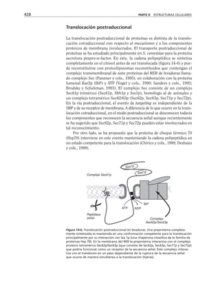 biologia-celular-y-molecular.pdf