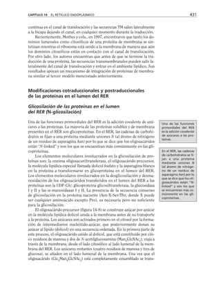 biologia-celular-y-molecular.pdf