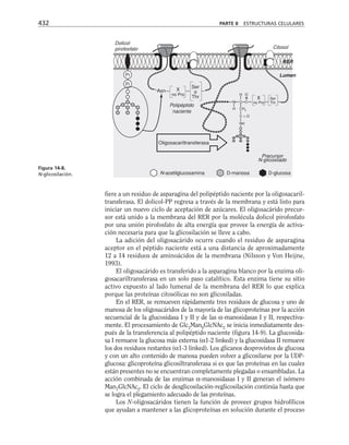 biologia-celular-y-molecular.pdf