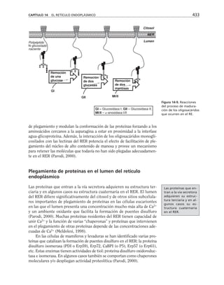 biologia-celular-y-molecular.pdf