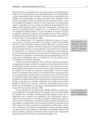 CAPÍTULO I ÁCIDO DESOXIRRIBONUCLEICO, DNA 7
plantas de la F1 se autopolinizaran. Las características que habían desapa-
recido en la F1 reaparecieron en la segunda generación, o F2. Mendel llamó
a estas características como recesivas y concluyó que las características he-
redadas eran determinadas por factores discretos, pero separables. Estos
factores necesitaban estar en las plantas de la F1 en forma de pares: un par
era heredado del progenitor materno y el otro del paterno. Los factores apa-
reados se separaban otra vez cuando las plantas de la generación F1 pro-
ducían células sexuales maduras o gametos. Cada gameto contendría uno
solo de los miembros del par original. Así, en su primera ley o principio
de segregación, Mendel propuso: “Los dos miembros de un par de factores
se segregan separados en cada uno de los gametos, por lo que la mitad de
los gametos lleva un miembro de un par y la otra mitad de los gametos lle-
va al otro factor” (Curtis y Barnes, 1989).
Ahora sabemos que en los organismos diploides los genes se encuen-
tran en pares conocidos como alelos. Por ejemplo, el color de las semillas,
amarillo y verde, está determinado por alelos diferentes. La manera como
una característica se expresa está determinada por la combinación particu-
lar de los alelos presentes en cada organismo. Si los alelos son los mismos,
por ejemplo YY o yy, entonces se dice que el organismo es homocigoto pa-
ra esa característica particular; si los dos alelos son diferentes, por ejemplo
Yy, entonces el organismo es heterocigoto para esa característica. En el ca-
so de que Y sea dominante sobre y, una planta YY y otra Yy tendrían el mis-
mo fenotipo, pero diferente genotipo.
Cuando se forman los gametos, éstos contienen solamente un alelo de
cada gen determinado. Cuando los dos gametos se unen para formar el hue-
vo fertilizado, los alelos se aparean nuevamente. Si dos alelos de un par da-
do son iguales (homocigoto), la característica que ellos determinan se pue-
de expresar. Si los alelos son diferentes (heterocigoto), uno de los alelos
puede ser dominante sobre el otro. Un alelo dominante es aquel que produ-
ce su característica particular tanto en los hetero como en los homocigo-
tos. En heterocigotos, para algunas características no hay dominancia ni re-
cesividad, sino codominancia. En la codominancia se expresan los dos alelos
del gen, lo que genera un fenotipo combinado. Por ejemplo, en la cruza de
plantas con flores rojas y blancas, cuando las características de flor roja y
blanca no son dominantes ni recesivas, se pueden generar plantas con flo-
res de color rosa (Curtis y Barnes, 1989).
En una segunda serie de experimentos, Mendel estudió la cruza de plan-
tas que diferían en dos características. Por ejemplo, en la cruza entre plantas
con semillas lisas y amarillas y plantas con semillas rugosas y verdes, las ca-
racterísticas liso y amarillo son dominantes y las características rugoso y
verde son recesivas. Como se esperaba, las semillas resultantes de la genera-
ción F1 fueron semillas lisas y amarillas. Cuando las plantas derivadas de es-
tas semillas se autopolinizaron, de las plantas resultantes una proporción de
9/16 mostraron las dos características dominantes (semillas lisas y amari-
llas), y solamente 1/16 mostraron características recesivas (semillas rugosas
y verdes). El resto de las plantas se distribuyó de la siguiente manera: 3/16
fueron amarillas y rugosas y 3/16 fueron verdes y lisas; es decir, aparecieron
combinaciones nuevas de las dos características (figura 1-3).
Las características ge-
néticas se segregan de
manera independiente.
En los organismos ho-
mocigotos, las copias
materna y paterna de
un mismo gen son
iguales; en los hetero-
cigotos son diferentes.
 