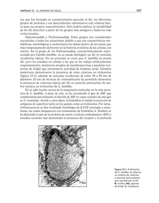 biologia-celular-y-molecular.pdf