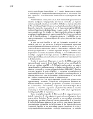 biologia-celular-y-molecular.pdf