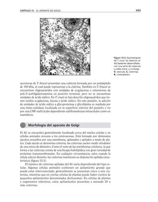 biologia-celular-y-molecular.pdf