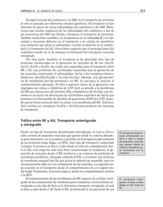 biologia-celular-y-molecular.pdf