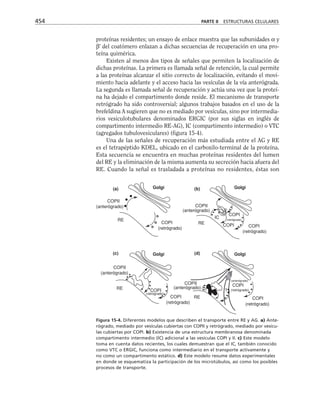 biologia-celular-y-molecular.pdf