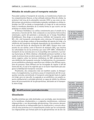 biologia-celular-y-molecular.pdf