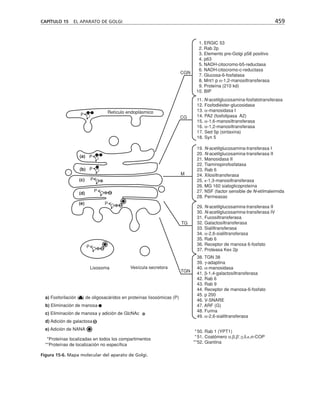 biologia-celular-y-molecular.pdf