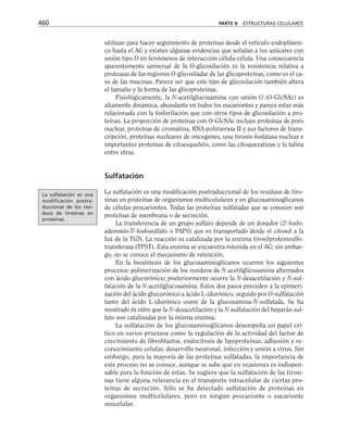 biologia-celular-y-molecular.pdf