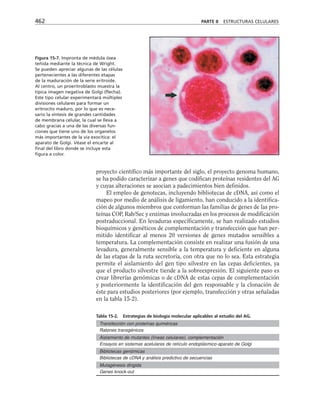 biologia-celular-y-molecular.pdf