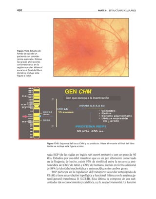 biologia-celular-y-molecular.pdf