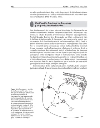 biologia-celular-y-molecular.pdf