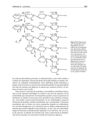 biologia-celular-y-molecular.pdf