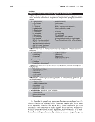 biologia-celular-y-molecular.pdf