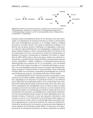 biologia-celular-y-molecular.pdf