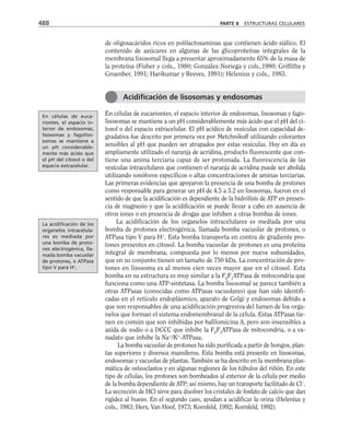 biologia-celular-y-molecular.pdf