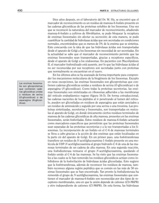 biologia-celular-y-molecular.pdf