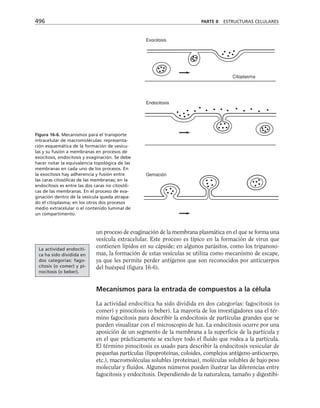 biologia-celular-y-molecular.pdf