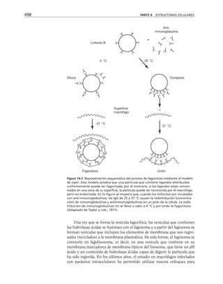 biologia-celular-y-molecular.pdf