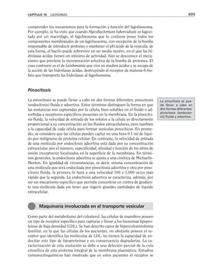 biologia-celular-y-molecular.pdf