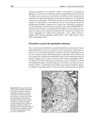 biologia-celular-y-molecular.pdf
