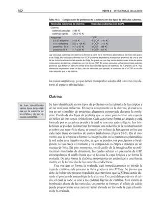 biologia-celular-y-molecular.pdf