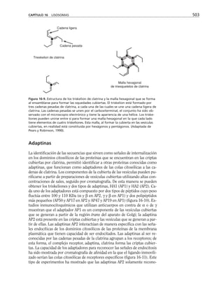 biologia-celular-y-molecular.pdf