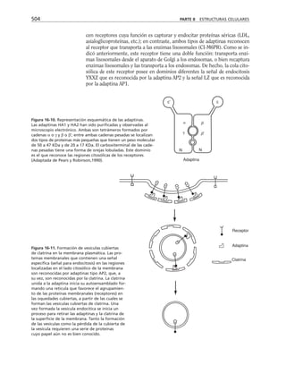 biologia-celular-y-molecular.pdf