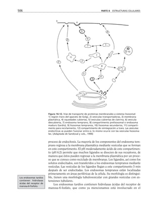 biologia-celular-y-molecular.pdf