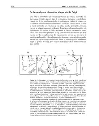 biologia-celular-y-molecular.pdf