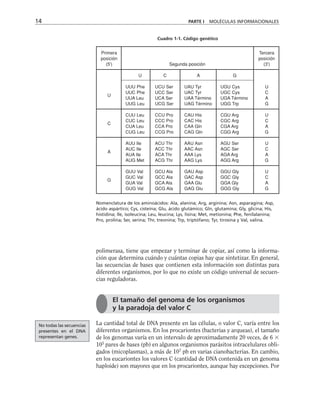 polimerasa, tiene que empezar y terminar de copiar, así como la informa-
ción que determina cuándo y cuántas copias hay que sintetizar. En general,
las secuencias de bases que contienen esta información son distintas para
diferentes organismos, por lo que no existe un código universal de secuen-
cias reguladoras.
La cantidad total de DNA presente en las células, o valor C, varía entre los
diferentes organismos. En los procariontes (bacterias y arqueas), el tamaño
de los genomas varía en un intervalo de aproximadamente 20 veces, de 6 
105
pares de bases (pb) en algunos organismos parásitos intracelulares obli-
gados (micoplasmas), a más de 107
pb en varias cianobacterias. En cambio,
en los eucariontes los valores C (cantidad de DNA contenida en un genoma
haploide) son mayores que en los procariontes, aunque hay excepciones. Por
14 PARTE I MOLÉCULAS INFORMACIONALES
Primera
posición
(5')
U
C
A
G
U
UUU Phe
UUC Phe
UUA Leu
UUG Leu
CUU Leu
CUC Leu
CUA Leu
CUG Leu
AUU Ile
AUC Ile
AUA Ile
AUG Met
GUU Val
GUC Val
GUA Val
GUG Val
C
UCU Ser
UCC Ser
UCA Ser
UCG Ser
CCU Pro
CCC Pro
CCA Pro
CCG Pro
ACU Thr
ACC Thr
ACA Thr
ACG Thr
GCU Ala
GCC Ala
GCA Ala
GCG Ala
A
UAU Tyr
UAC Tyr
UAA Término
UAG Término
CAU His
CAC His
CAA Gln
CAG Gln
AAU Asn
AAC Asn
AAA Lys
AAG Lys
GAU Asp
GAC Asp
GAA Glu
GAG Glu
G
UGU Cys
UGC Cys
UGA Término
UGG Trp
CGU Arg
CGC Arg
CGA Arg
CGG Arg
AGU Ser
AGC Ser
AGA Arg
AGG Arg
GGU Gly
GGC Gly
GGA Gly
GGG Gly
Tercera
posición
(3')
U
C
A
G
U
C
A
G
U
C
A
G
U
C
A
G
Cuadro 1-1. Código genético
Segunda posición
No todas las secuencias
presentes en el DNA
representan genes.
El tamaño del genoma de los organismos
y la paradoja del valor C
Nomenclatura de los aminoácidos: Ala, alanina; Arg, arginina; Asn, asparagina; Asp,
ácido aspártico; Cys, cisteína; Glu, ácido glutámico; Gln, glutamina; Gly, glicina; His,
histidina; Ile, isoleucina; Leu, leucina; Lys, lisina; Met, metionina; Phe, fenilalanina;
Pro, prolina; Ser, serina; Thr, treonina; Trp, triptófano; Tyr, tirosina y Val, valina.
 