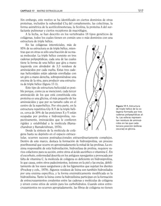 biologia-celular-y-molecular.pdf