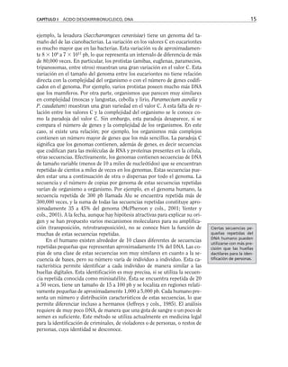 ejemplo, la levadura (Saccharomyces cerevisiae) tiene un genoma del ta-
maño del de las cianobacterias. La variación en los valores C en eucariontes
es mucho mayor que en las bacterias. Esta variación va de aproximadamen-
te 8  106
a 7  1011
pb, lo que representa un intervalo de diferencia de más
de 80,000 veces. En particular, los protistas (amibas, euglenas, paramecios,
tripanosomas, entre otros) muestran una gran variación en el valor C. Esta
variación en el tamaño del genoma entre los eucariontes no tiene relación
directa con la complejidad del organismo o con el número de genes codifi-
cados en el genoma. Por ejemplo, varios protistas poseen mucho más DNA
que los mamíferos. Por otra parte, organismos que parecen muy similares
en complejidad (moscas y langostas, cebolla y lirio, Paramecium aurelia y
P. caudatum) muestran una gran variedad en el valor C. A esta falta de re-
lación entre los valores C y la complejidad del organismo se le conoce co-
mo la paradoja del valor C. Sin embargo, esta paradoja desaparece, si se
compara el número de genes y la complejidad de los organismos. En este
caso, sí existe una relación; por ejemplo, los organismos más complejos
contienen un número mayor de genes que los más sencillos. La paradoja C
significa que los genomas contienen, además de genes, es decir secuencias
que codifican para las moléculas de RNA y proteínas presentes en la célula,
otras secuencias. Efectivamente, los genomas contienen secuencias de DNA
de tamaño variable (menos de 10 a miles de nucleótidos) que se encuentran
repetidas de cientos a miles de veces en los genomas. Estas secuencias pue-
den estar una a continuación de otra o dispersas por todo el genoma. La
secuencia y el número de copias por genoma de estas secuencias repetidas
varían de organismo a organismo. Por ejemplo, en el genoma humano, la
secuencia repetida de 300 pb llamada Alu se encuentra repetida más de
300,000 veces, y la suma de todas las secuencias repetidas constituye apro-
ximadamente 35 a 45% del genoma (McPherson y cols., 2001; Venter y
cols., 2001). A la fecha, aunque hay hipótesis atractivas para explicar su ori-
gen y se han propuesto varios mecanismos moleculares para su amplifica-
ción (transposición, retrotransposición), no se conoce bien la función de
muchas de estas secuencias repetidas.
En el humano existen alrededor de 10 clases diferentes de secuencias
repetidas pequeñas que representan aproximadamente 1% del DNA. Las co-
pias de una clase de estas secuencias son muy similares en cuanto a la se-
cuencia de bases, pero su número varía de individuo a individuo. Esta ca-
racterística permite identificar a cada individuo de manera similar a las
huellas digitales. Esta identificación es muy precisa, si se utiliza la secuen-
cia repetida conocida como minisatélite. Ésta se encuentra repetida de 20
a 50 veces, tiene un tamaño de 15 a 100 pb y se localiza en regiones relati-
vamente pequeñas de aproximadamente 1,000 a 5,000 pb. Cada humano pre-
senta un número y distribución característicos de estas secuencias, lo que
permite diferenciar incluso a hermanos (Jeffreys y cols., 1985). El análisis
requiere de muy poco DNA, de manera que una gota de sangre o un poco de
semen es suficiente. Este método se utiliza actualmente en medicina legal
para la identificación de criminales, de violadores o de personas, o restos de
personas, cuya identidad se desconoce.
CAPÍTULO I ÁCIDO DESOXIRRIBONUCLEICO, DNA 15
Ciertas secuencias pe-
queñas repetidas del
DNA humano pueden
utilizarse con más pre-
cisión que las huellas
dactilares para la iden-
tificación de personas.
 