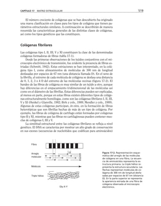 biologia-celular-y-molecular.pdf