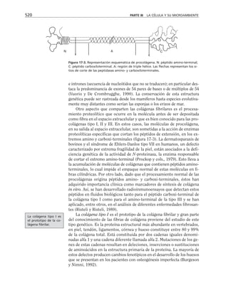 biologia-celular-y-molecular.pdf