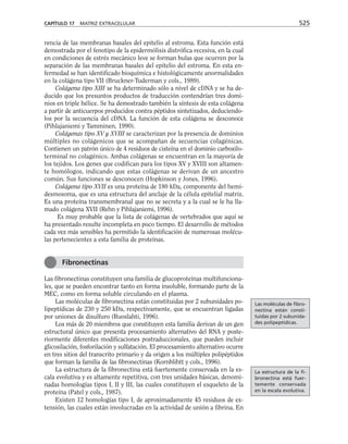 biologia-celular-y-molecular.pdf