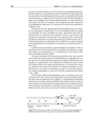 biologia-celular-y-molecular.pdf