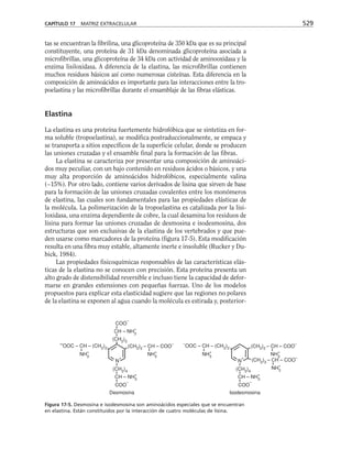 biologia-celular-y-molecular.pdf