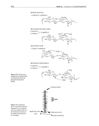 biologia-celular-y-molecular.pdf