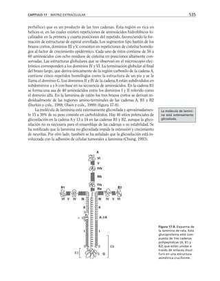 biologia-celular-y-molecular.pdf